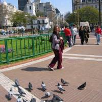 IMG_0464 