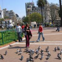 IMG_0465 