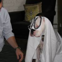 IMG_0609 <?xml version=