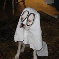 IMG_0613 <?xml version=