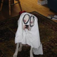 IMG_0614 <?xml version=