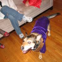 IMG_0634 Where're my bitches?